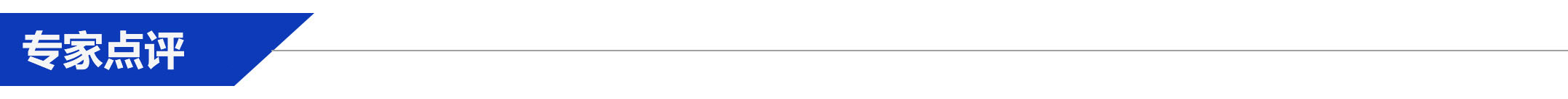 專家點(diǎn)評(píng).jpg